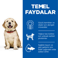 Hills Puppy Tavuklu Büyük ve İri Irk Yavru Köpek Maması 2,5kg - Thumbnail