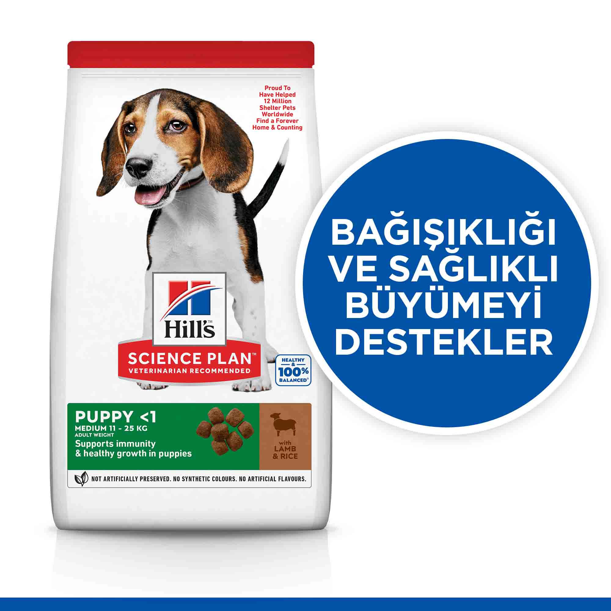Hills Puppy Kuzu Etli Orta Irk Yavru Köpek Maması 2,5kg - 3