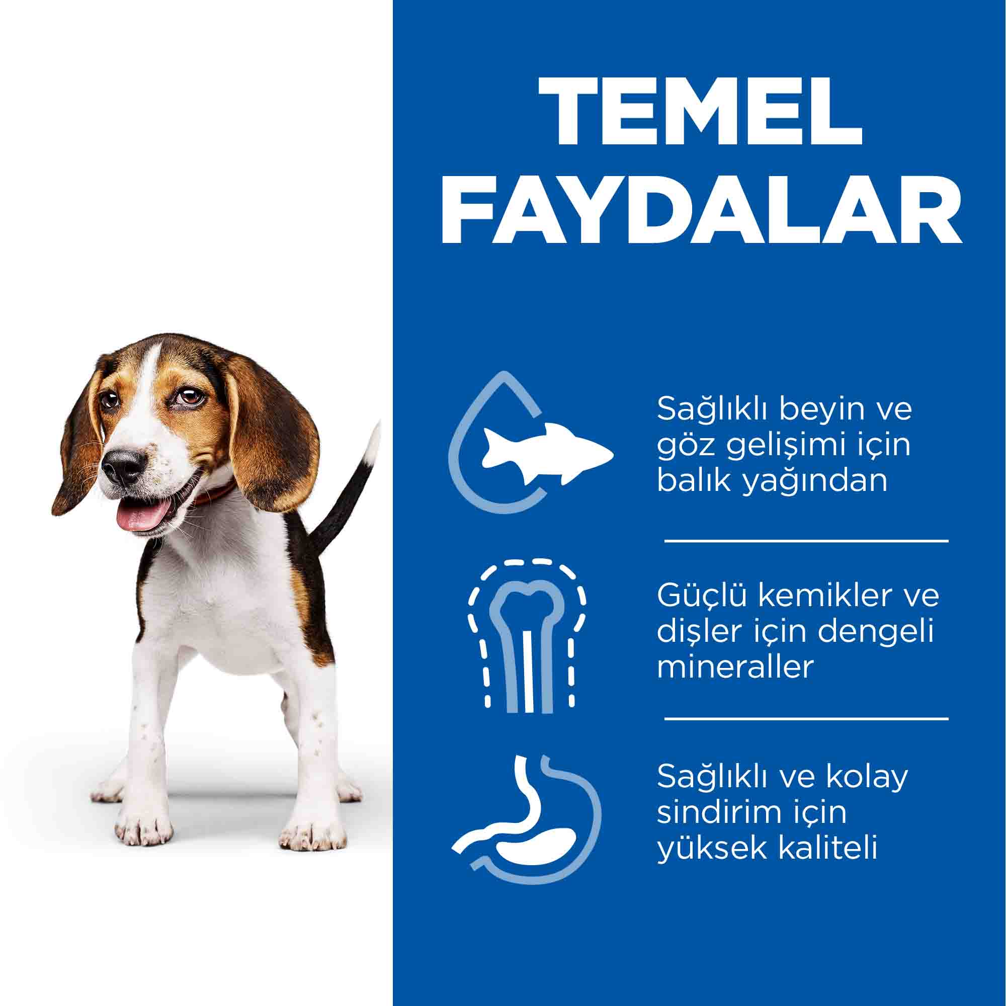 Hills Puppy Kuzu Etli Orta Irk Yavru Köpek Maması 2,5kg - 4