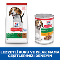 Hills Puppy Kuzu Etli Orta Irk Yavru Köpek Maması 2,5kg - 5