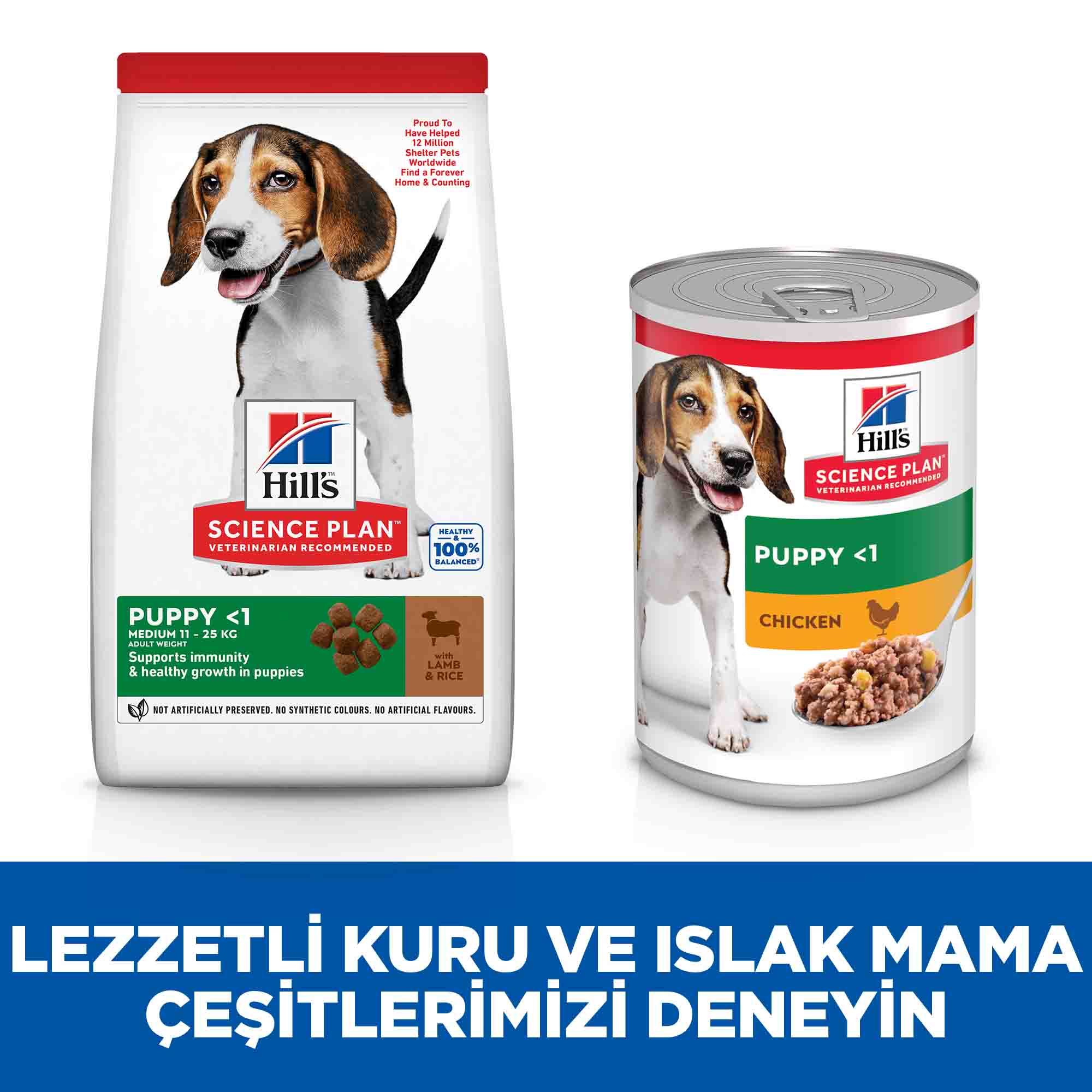 Hills Puppy Kuzu Etli Orta Irk Yavru Köpek Maması 2,5kg - 5