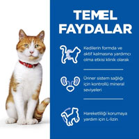 Hills Tavuklu Kısırlaştırılmış Yetişkin Kedi Maması 10kg - 5