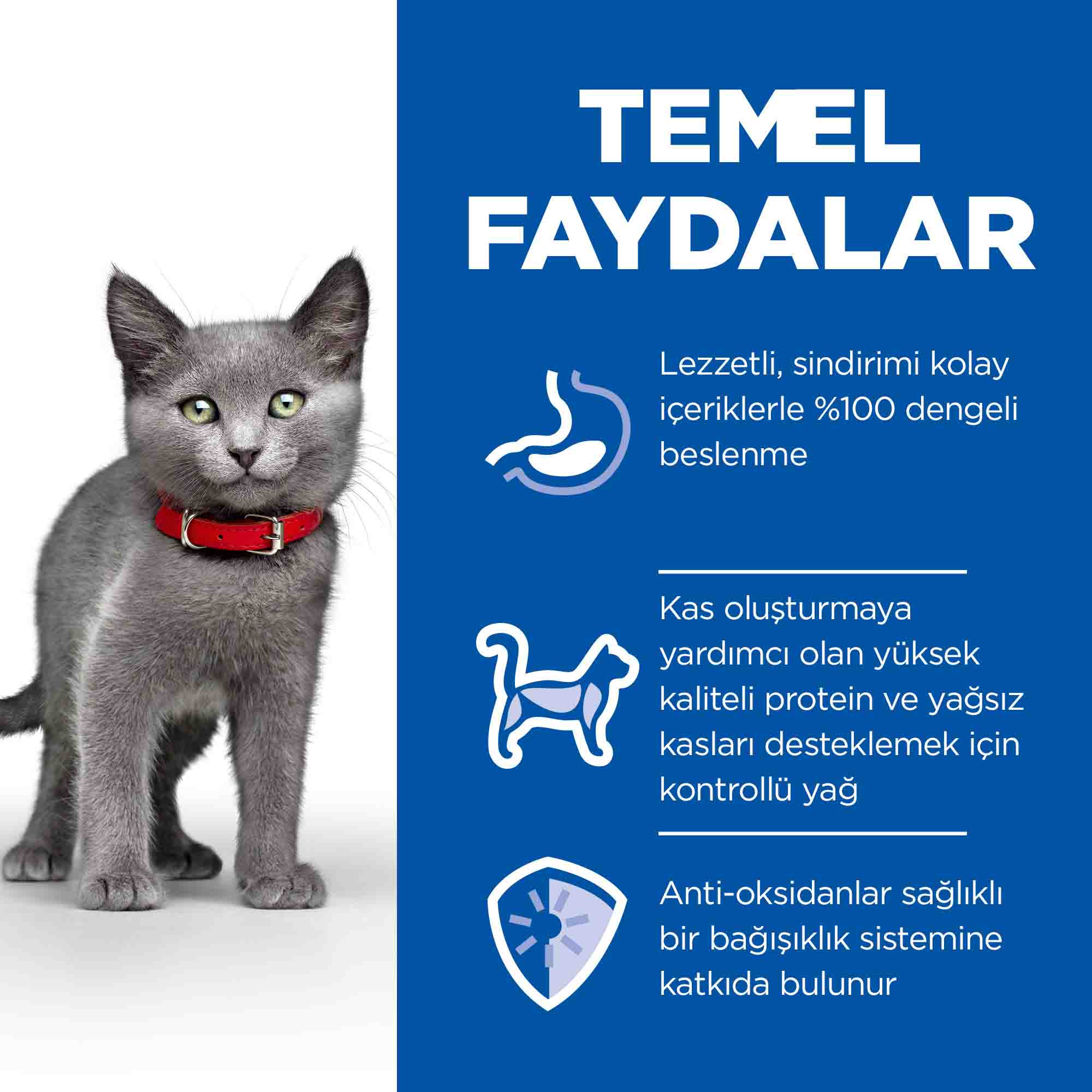 Hills Sterilised Kitten Tavuklu Kısırlaştırılmış Yavru Kedi Maması 10kg