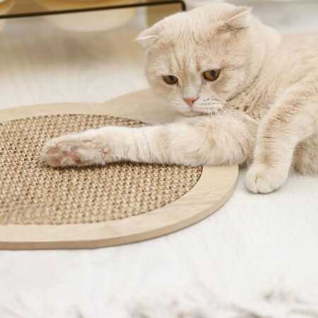 Evinemama Doğal Sisal Kedi Tırmalama Matı - Thumbnail