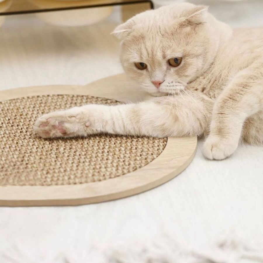 Evinemama Doğal Sisal Kedi Tırmalama Matı