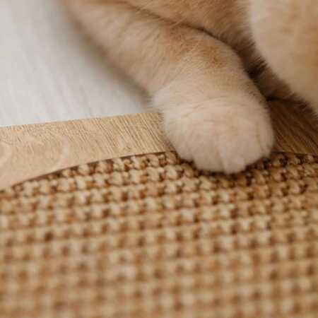 Evinemama Doğal Sisal Kedi Tırmalama Matı - Thumbnail (3)