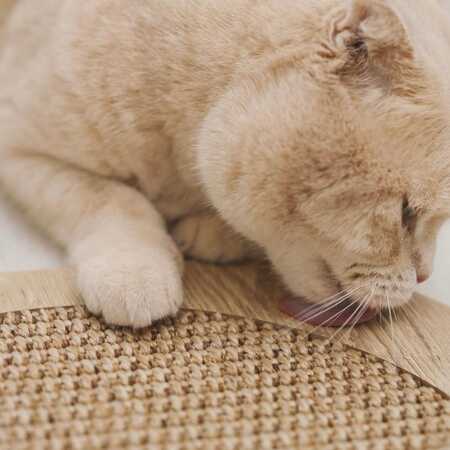 Evinemama Doğal Sisal Kedi Tırmalama Matı - Thumbnail