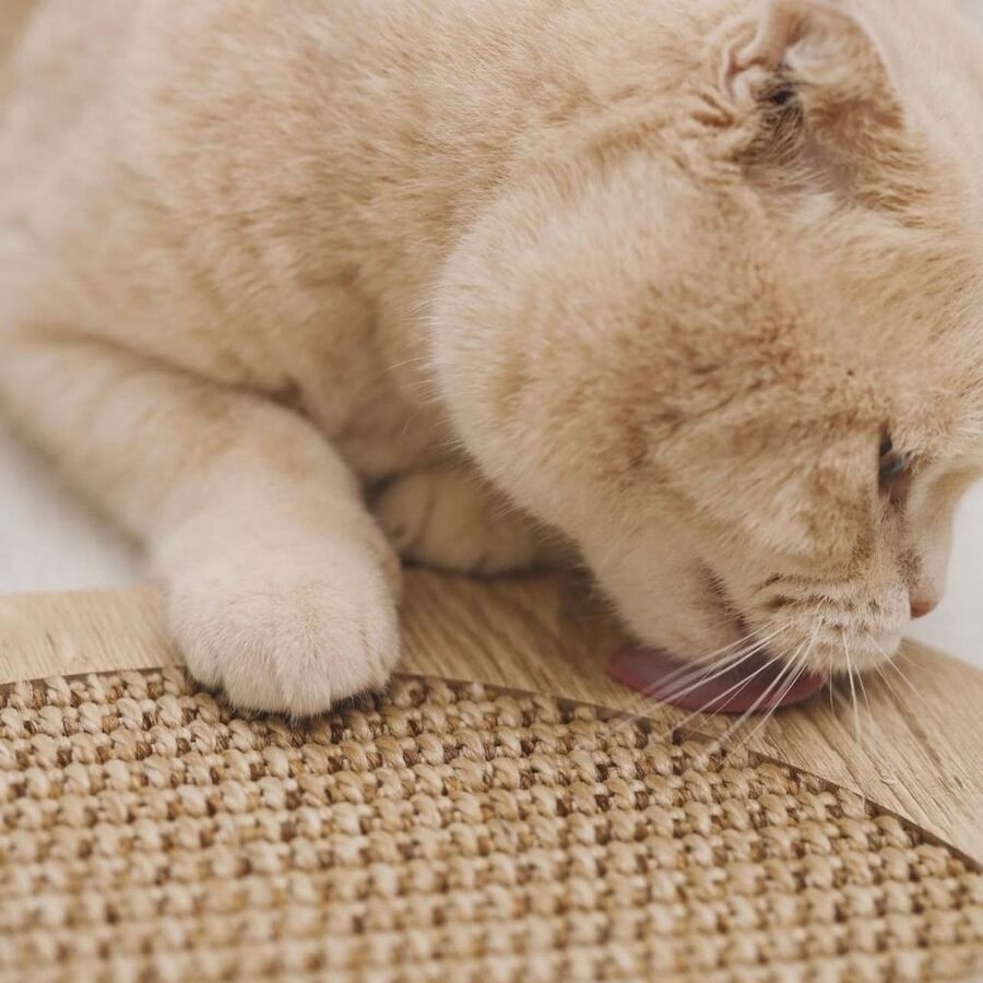 Evinemama Doğal Sisal Kedi Tırmalama Matı
