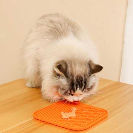 Creamy Somon Balıklı Kedi Ödülü 4x15gr - Thumbnail