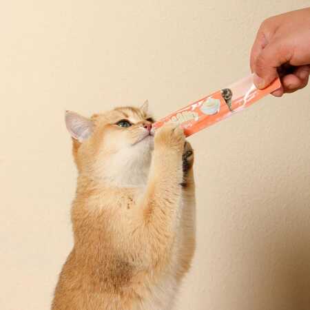 Creamy Somon Balıklı Kedi Ödülü 4x15gr - Thumbnail (3)