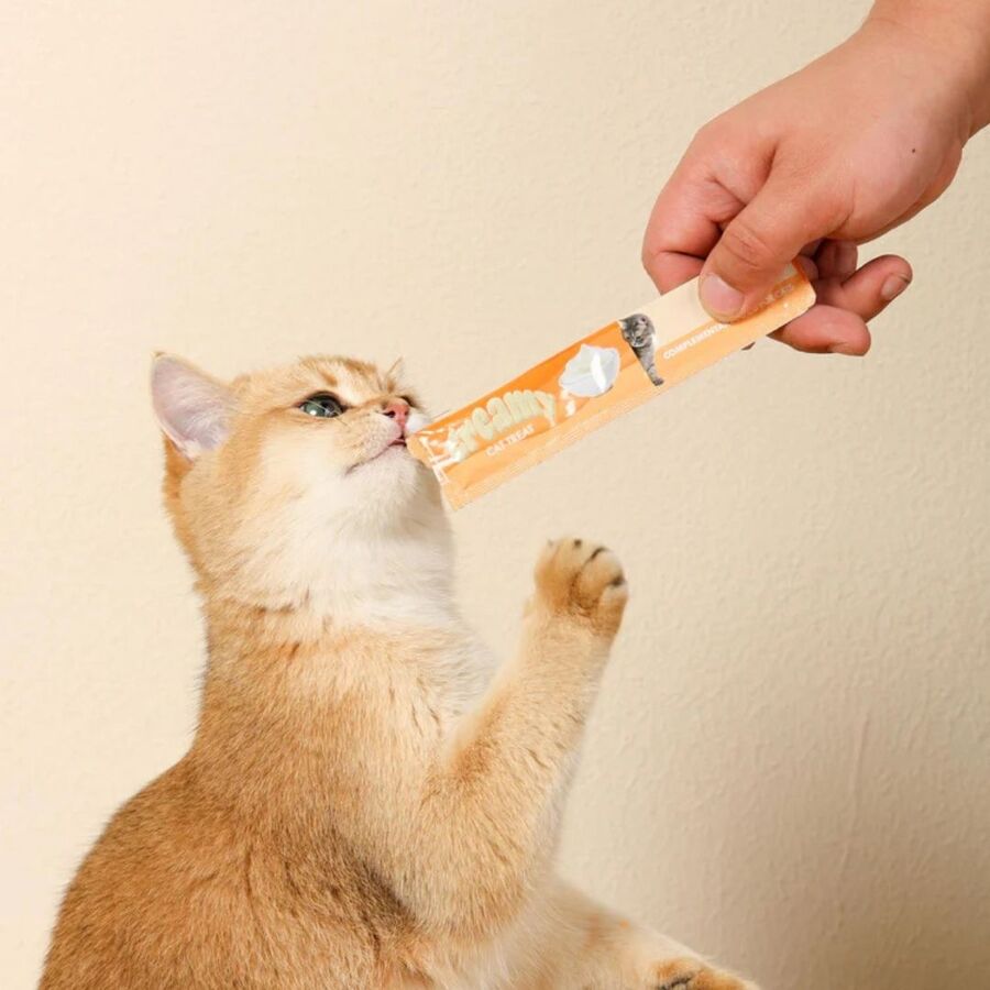 Creamy Yengeçli Kedi Ödülü 4x15gr