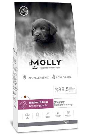 MOLLY - Molly Kuzulu Yabanmersinli Orta ve Büyük Irk Yavru Köpek Maması 2kg
