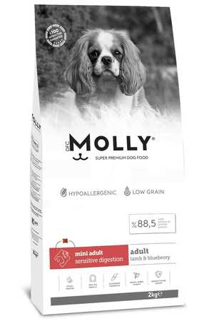MOLLY - Molly Kuzulu ve Yabanmersinli Mini Irk Yetişkin Köpek Maması 2kg