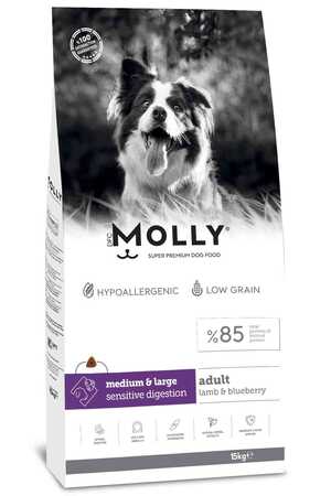 MOLLY - Molly Kuzulu Yabanmersinli Orta ve Büyük Irk Yetişkin Köpek Maması 15kg