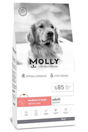 MOLLY - Molly Somonlu Orta ve Büyük Irk Yetişkin Köpek Maması 2kg