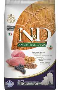 ND Ancestral Grain Düşük Tahıllı Kuzu Eti ve Yaban Mersinli Orta ve Büyük Irk Yavru Köpek Maması 2,5kg - Thumbnail