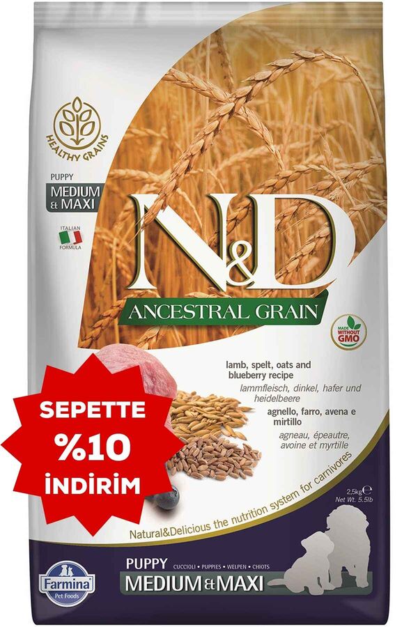 ND Ancestral Grain Düşük Tahıllı Kuzu Eti ve Yaban Mersinli Orta ve Büyük Irk Yavru Köpek Maması 2,5kg