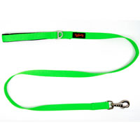 TAILPETZ - Tailpetz Match Köpek Gezdirme Kayışı 140cm/2cm (Neon Yeşil) (M)