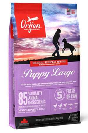 ORIJEN - Orijen Puppy Large Tahılsız Büyük Irk Yavru Köpek Maması 11,4kg