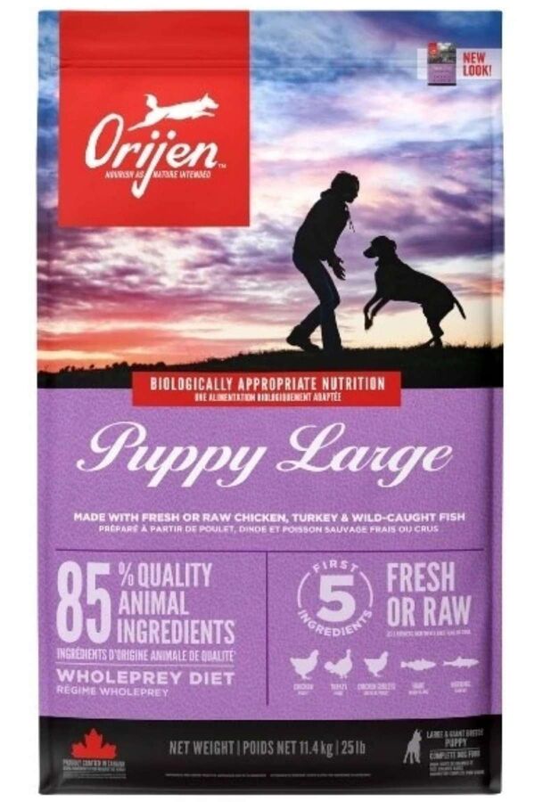 Orijen Puppy Large Tahılsız Büyük Irk Yavru Köpek Maması 11,4kg
