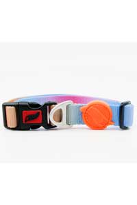 TAILPETZ - Tailpetz Pass Collar Köpek Boyun Tasması L