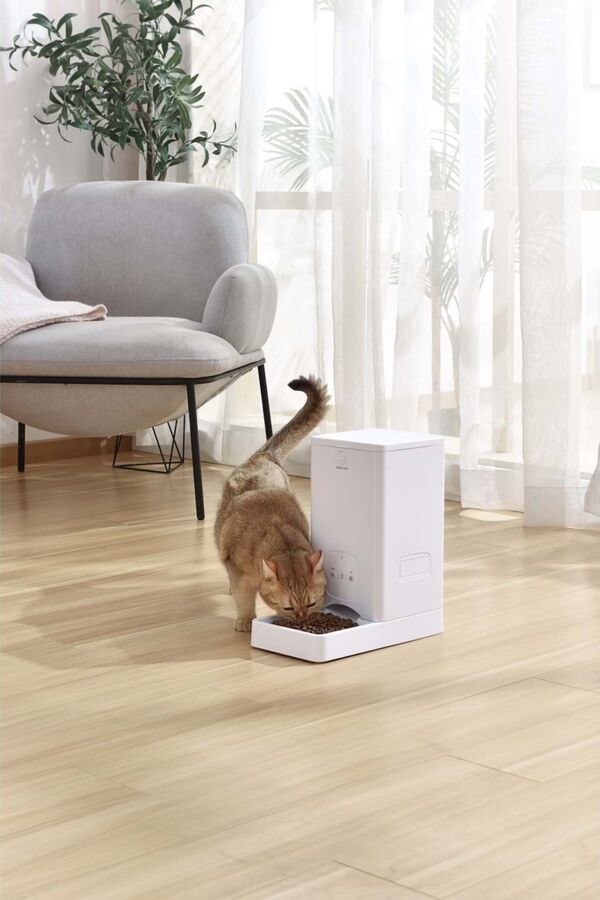 Pawgether F100S Wifi Versiyon Otomatik Mama Kabı 5.5lt