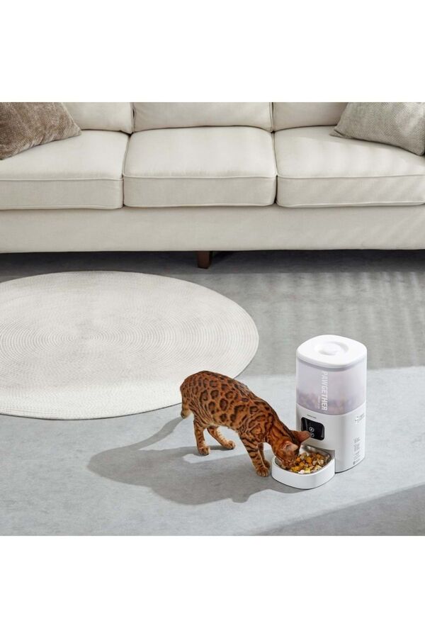 Pawgether F2S Wifi Versiyon Otomatik Mama Kabı 4lt