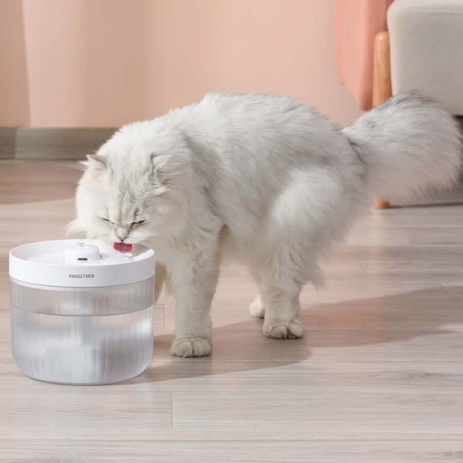 Pawgether Pure 200S Otomatik Su Sebili 2.3lt