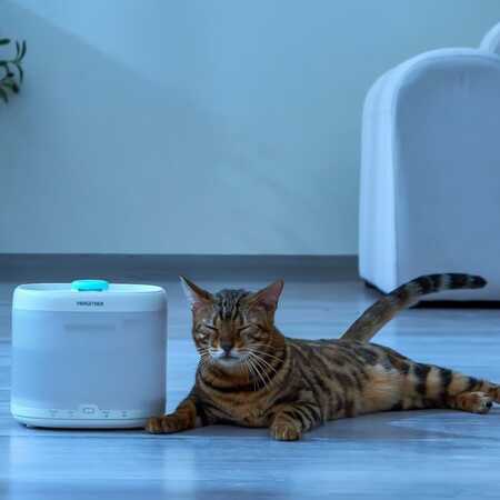 Pawgether Pure 3S Otomatik Su Sebili 2lt - Thumbnail