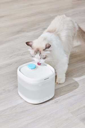 Pawgether Pure 3S Otomatik Su Sebili 2lt - Thumbnail (2)