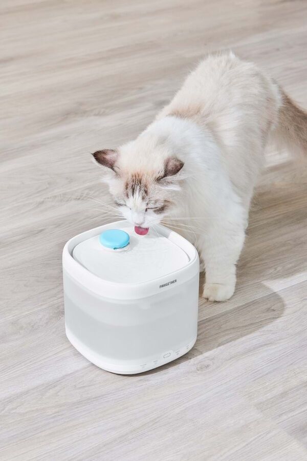 Pawgether Pure 3S Otomatik Su Sebili 2lt