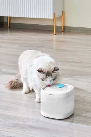 Pawgether Pure 3S Otomatik Su Sebili 2lt - Thumbnail (3)