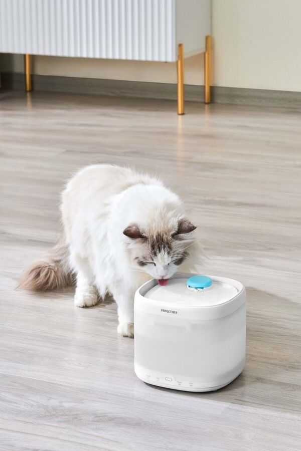 Pawgether Pure 3S Otomatik Su Sebili 2lt