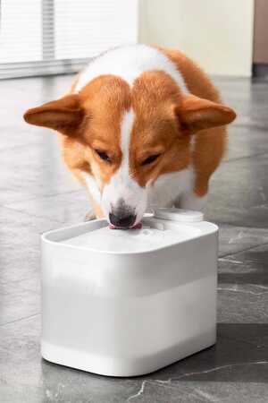 Pawgether Pure 4S Otomatik Su Sebili 2.5lt - Thumbnail (3)