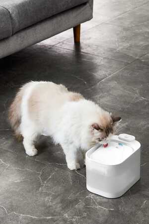 Pawgether Pure 4S Otomatik Su Sebili 2.5lt - Thumbnail (2)