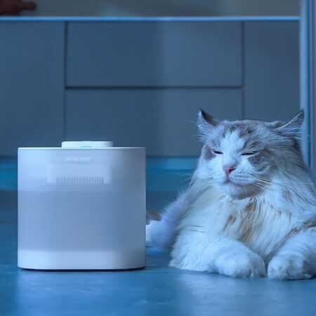 Pawgether Pure 4S Otomatik Su Sebili 2.5lt - Thumbnail