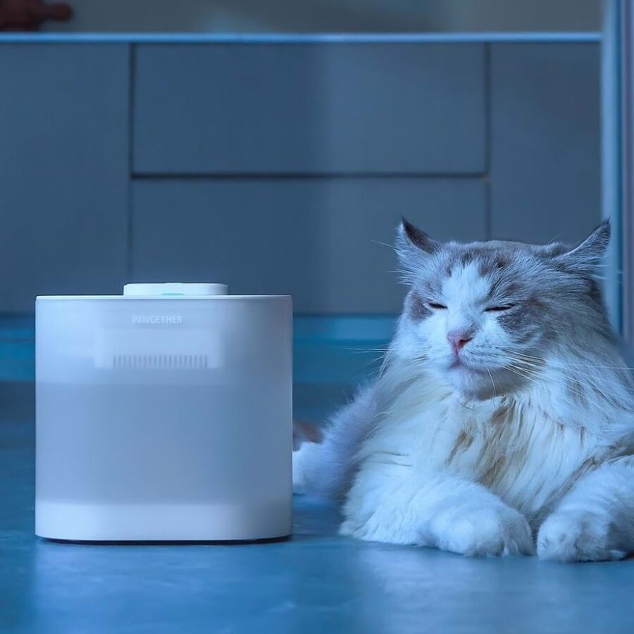 Pawgether Pure 4S Otomatik Su Sebili 2.5lt