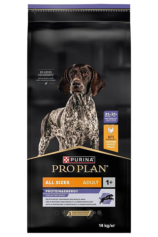 Pro Plan Tüm Irklar İçin Tavuklu Yetişkin Köpek Maması 14kg - 1