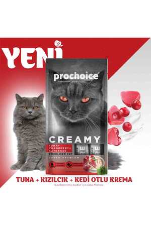 Prochoice Creamy Ton Balığı ve Kızılcıklı Krema Kedi Ödül Maması 4x15gr - Thumbnail