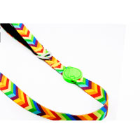TAILPETZ - Tailpetz Match Köpek Gezdirme Kayışı 140cm/2cm (Rainbow) (M)