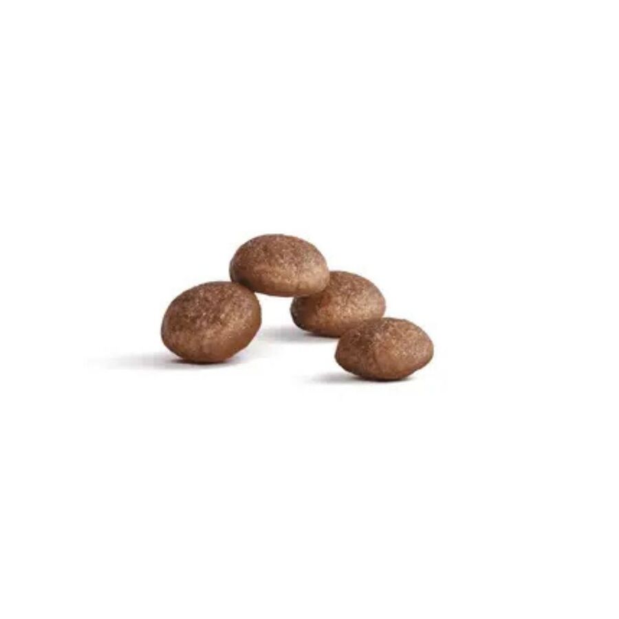 Royal Canin Ageing 11+ Yaş Üzeri Yaşlı Kedi Maması 2kg - 6