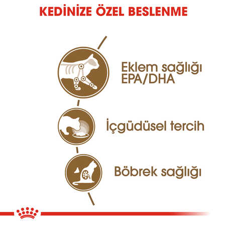 Royal Canin 12 Yaş Üzeri Yaşlı Kediler için Kedi Konservesi 85gr - Thumbnail (3)