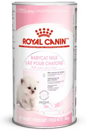 Royal Canin Babycat Milk Yavru Kedi Süt Tozu 300gr - Thumbnail