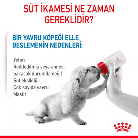 Royal Canin Babydog Milk Yavru Köpek Süt Tozu 400gr - Thumbnail