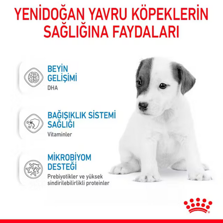 Royal Canin Babydog Milk Yavru Köpek Süt Tozu 400gr - Thumbnail