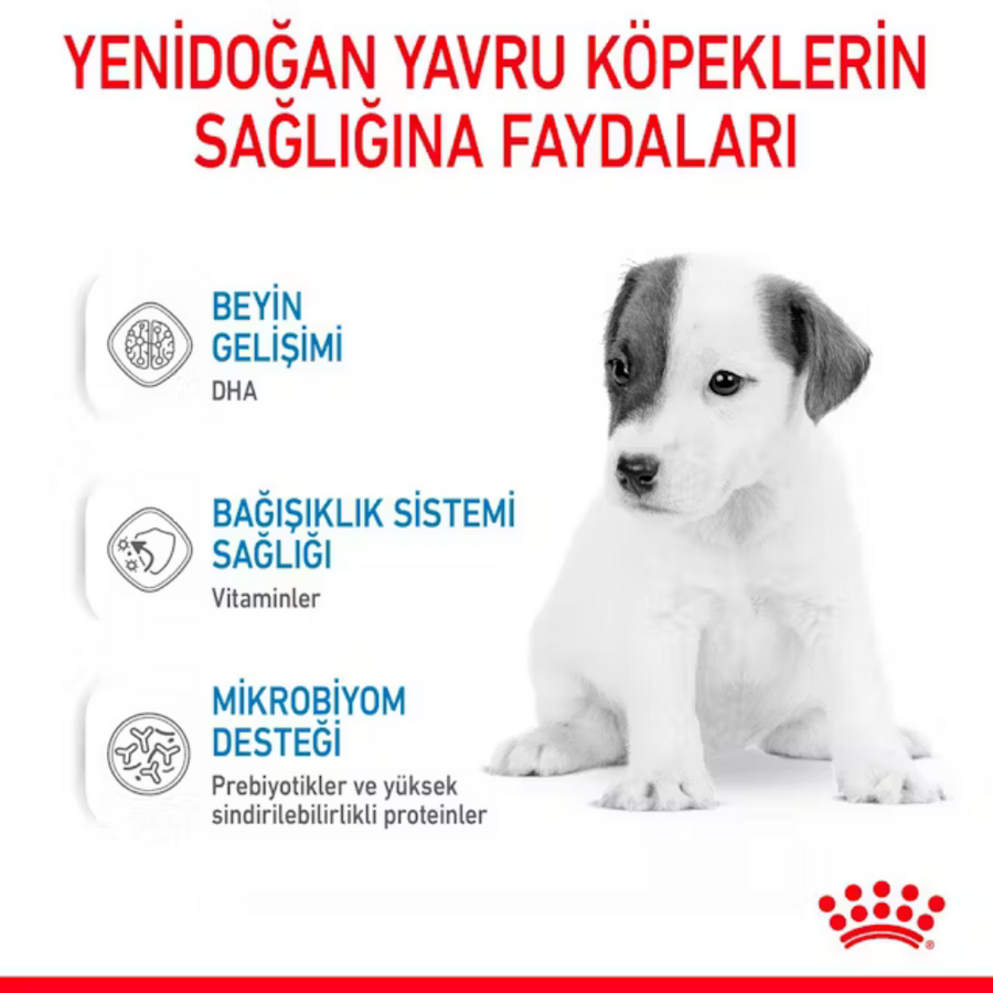 Royal Canin Babydog Milk Yavru Köpek Süt Tozu 400gr