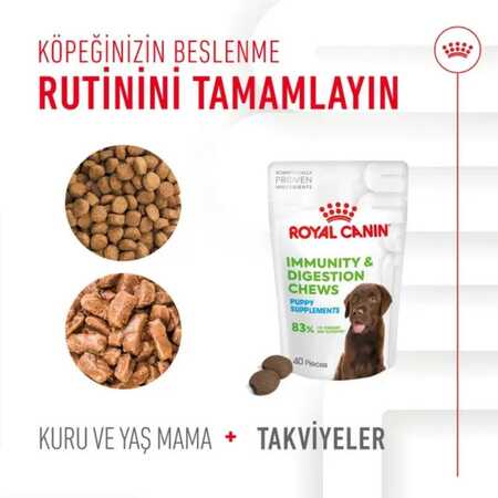 Royal Canin Bağışıklığı ve Sindirim Sistemini Destekleyen Tamamlayıcı Yavru Köpek Ödül Maması 100gr - Thumbnail (3)