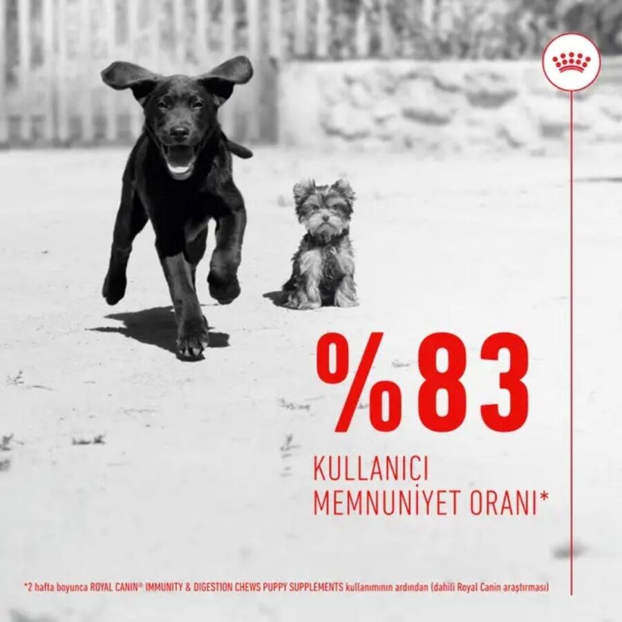 Royal Canin Bağışıklığı ve Sindirim Sistemini Destekleyen Tamamlayıcı Yavru Köpek Ödül Maması 100gr
