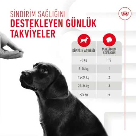 Royal Canin Bağışıklığı ve Sindirim Sistemini Destekleyen Tamamlayıcı Yavru Köpek Ödül Maması 100gr - Thumbnail