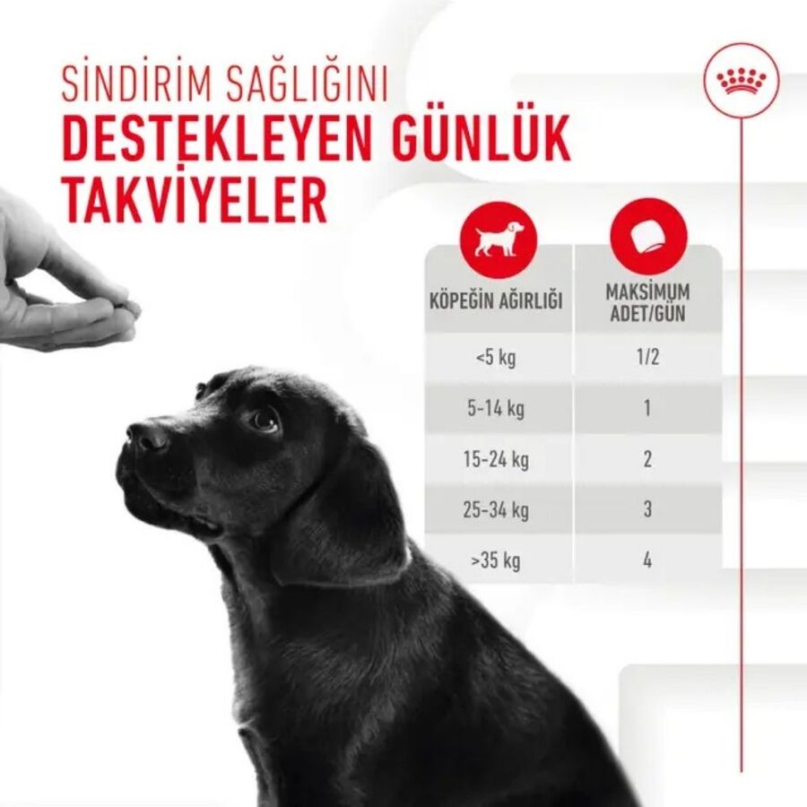 Royal Canin Bağışıklığı ve Sindirim Sistemini Destekleyen Tamamlayıcı Yavru Köpek Ödül Maması 100gr
